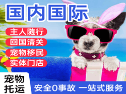 齐齐哈尔机场快运国际宠物托运 【国